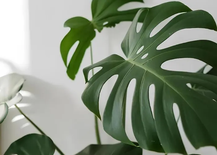 아파트 Casa Trento